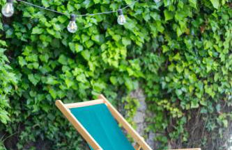 Les Planes de Viladrau - Foto 21