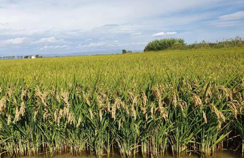 Allotjament turistic Casa Serral-Ocampo - Foto 52