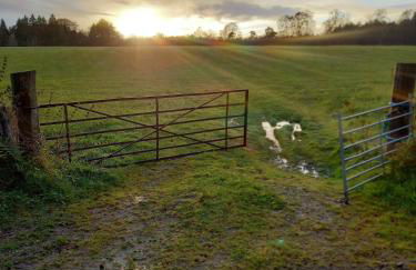 Lovely Semi-rural Caravan & Hot Tub - Sleeps Fam 6 - Photo 70