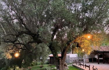 Pie' d'Ulivo - Foto 45