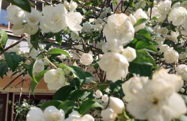 Natur-Aktiv-Hof Thiem - Foto 79