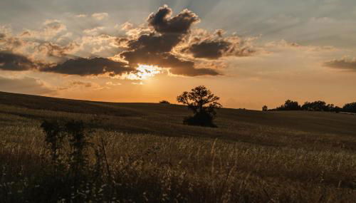 Tenuta Borgo Santa Cecilia - Photo 5