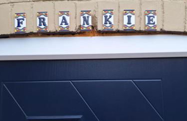 The Frankie Suite - Photo 8