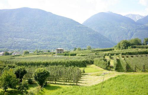 Revo Aparments - Flowery Cottage Appartamento GLICINE - Foto 32