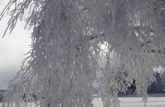 Studio Appartement Grand Serre - Foto 15