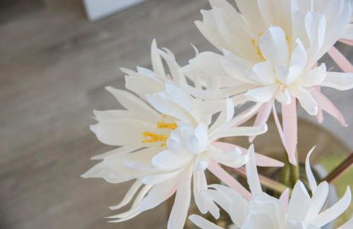 Casa da Praia & Casa da Mare da Alta by Estilo Lusitano, com piscina privada - Foto 12