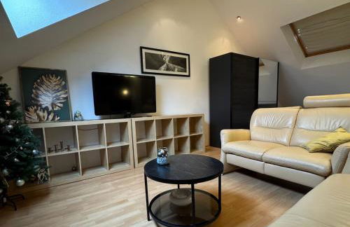 Helles Appartment, WLAN, Netflix, Nähe CHIO - Foto 1