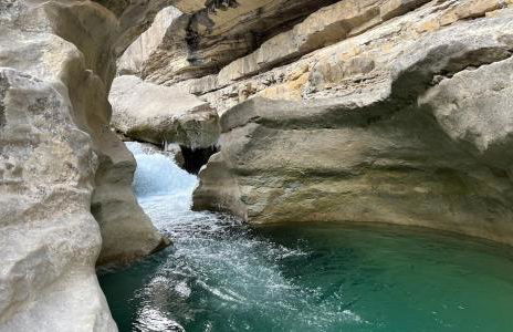 La Salamandre de l Olivier - Le Cèdre Bleu - Foto 31