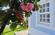 Ericeira -Oceonview Villa with Pool and Whirlpool - Foto 10