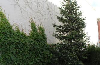 Villa Rural Campillo de Arenas - Foto 33