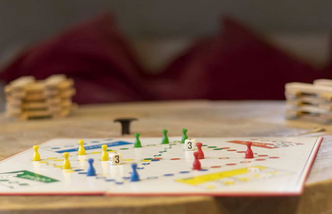 Vielsalm Stay With Furry Friends - Photo 28