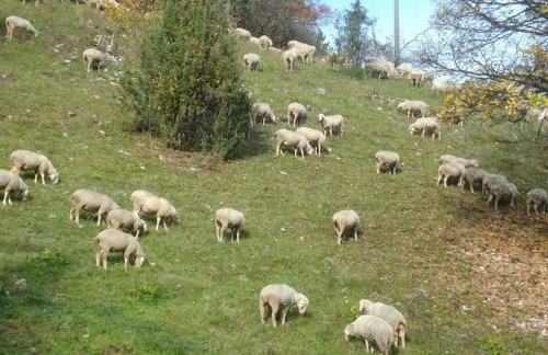 Holiday farm Hohe Drei Zinnen - Foto 19