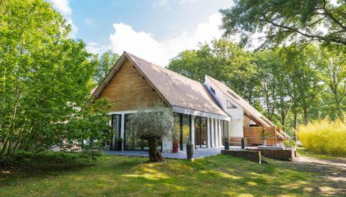 Villa d'architecte avec Piscine proche Paris - Foto 4, Garden, Garden view