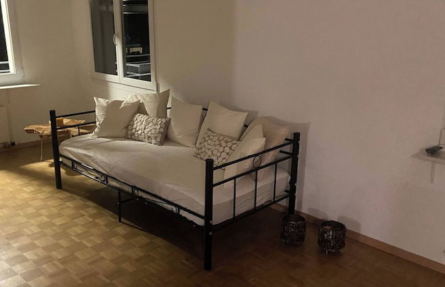 In the Green but in 20 Minutes in Basel - Foto 5