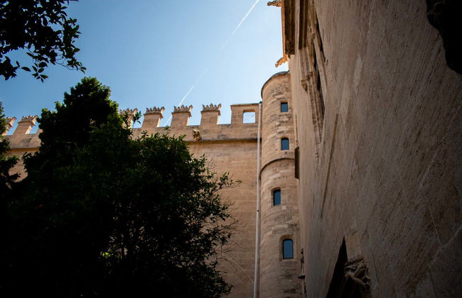 Visite complète de Valence avec billets - Photo 14