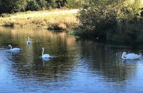 Waters Edge, Talkin Tarn, a luxurious bungalow with stunning views over the tarn - Foto 34