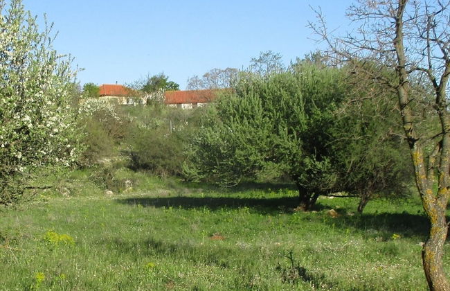 Chalet in Leonidio Near Mount Parnon - Foto 17
