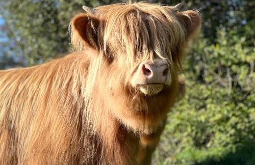 Parlour Barn - Photo 62