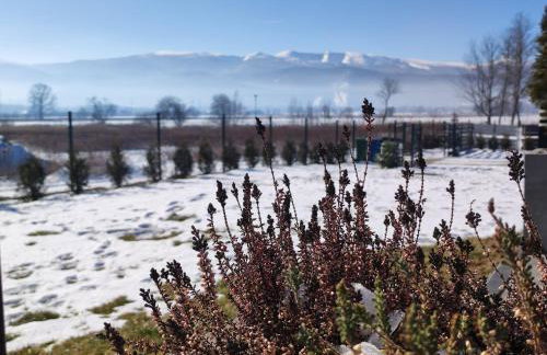 Domki Karkonosze Pod Dębem - Foto 37
