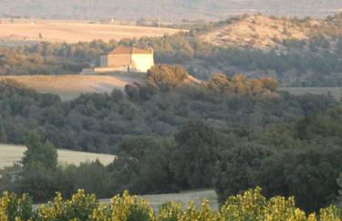 El Carro del Abuelo - Foto 78