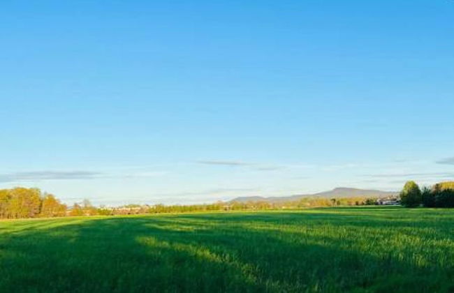 Amherst Country Oasis Perfect Location Umass - Foto 33