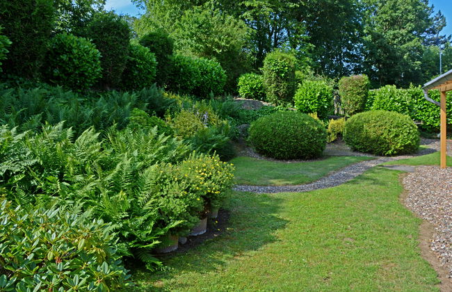 Rosenhütte - Foto 34