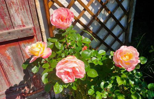 La Maison des oliviers - Foto 40