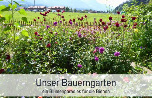 Bauernhof Finkel - Ferienwohnungen mit Balkon - Bergsicht - Traktor mitfahren - Tiere streicheln - entspannter Familienurlaub - zentrale Lage nahe Oberstdorf - Foto 55