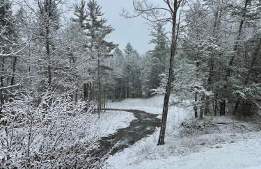 Serene Retreat on a Stream - Photo 38