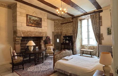 16th Century Manoir du Belvedere - central, unique, historical, with all modern amenities - Foto 9