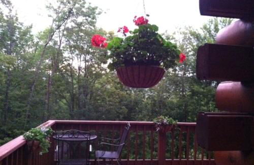 The Catskill Cabin - Foto 10