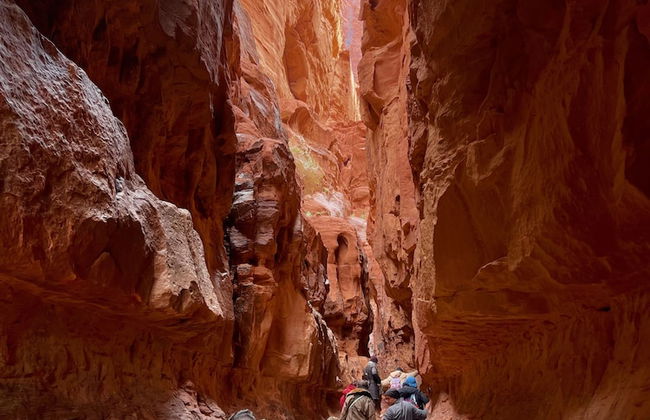 Wadi Rum Hikes & Camp - Photo 30