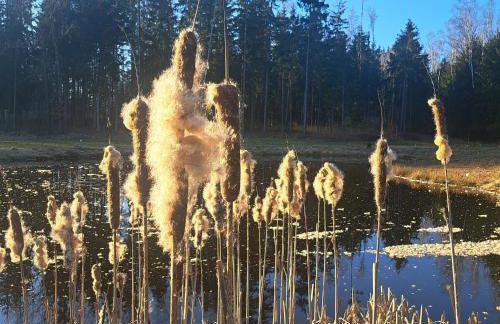 Leśny Reset - Foto 50