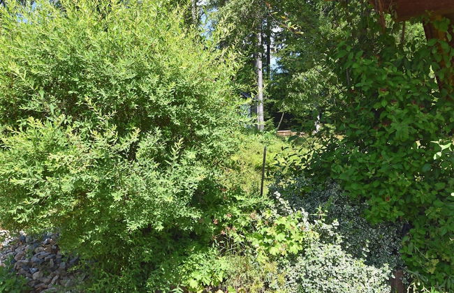 Apartment in the Bavarian Forest - Foto 29