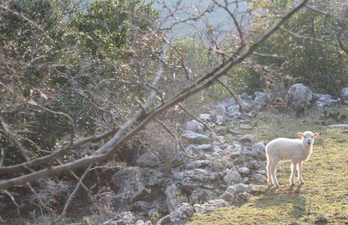 Casa Mattea - Foto 48