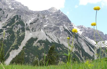 Ferienwohnung Allgäuer Landhaus Stocker in Hopferau-Füssen - Foto 34