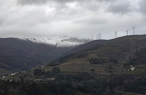 Douro - Quinta das Manas - Baião - Foto 21
