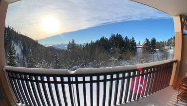 Location appartement Chamrousse 1650 - Superbe vue - Foto 4