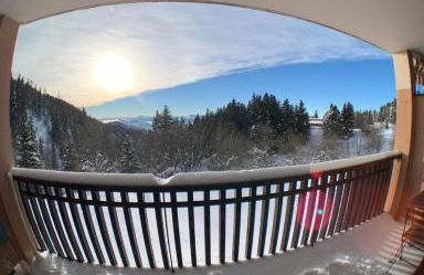 Location appartement Chamrousse 1650 - Superbe vue - Foto 4