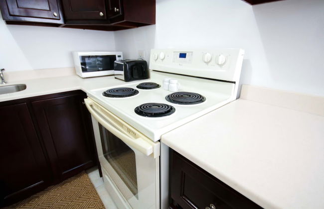 Cattleya's New Kingston Guest Apartment - Foto 11