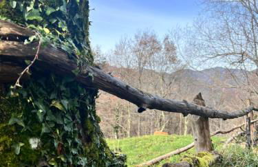 La Casina del Cabecin en Parque Natural de Redes - Foto 38