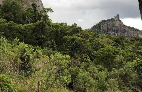 Lar & Lazer - Foto 17