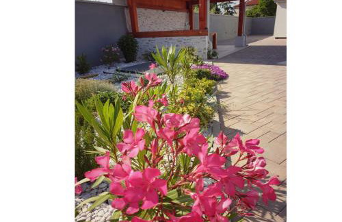 villa flores - Foto 6