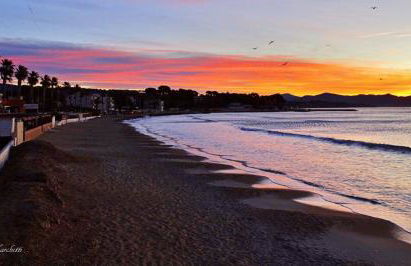 le cytharis - Foto 39