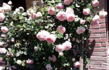 Agriturismo Le Chiare Stelle - Foto 15