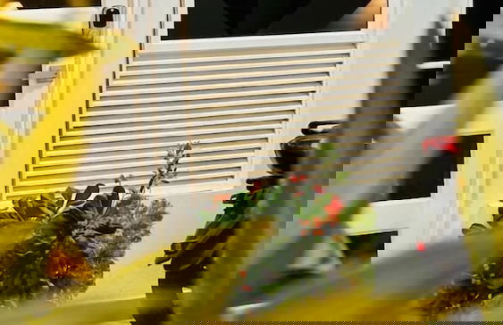 Di House Apart - Foto 41