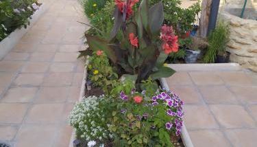 Casa Eufemia - Campo de Criptana - Foto 3, Garden, Garden view