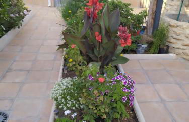 Casa Eufemia - Campo de Criptana - Foto 3