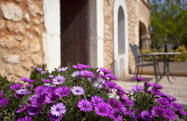 Agroturismo Es Quatre Cantons - Photo 45