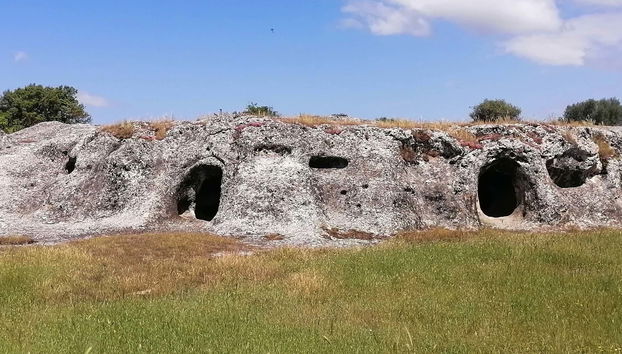 Escursione alla Necropoli di Puttu Codinu e al Nuraghe Appiu
